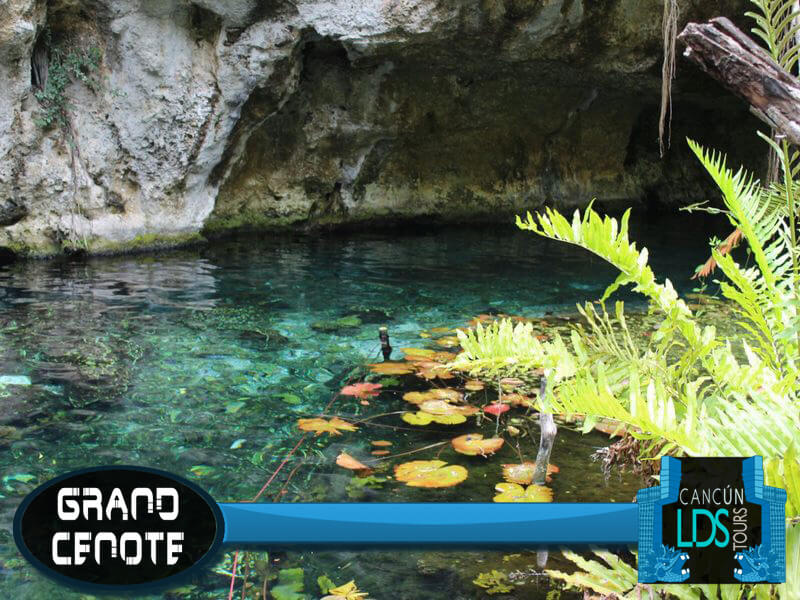 Grand Cenote Cancun LDS Tours 2017